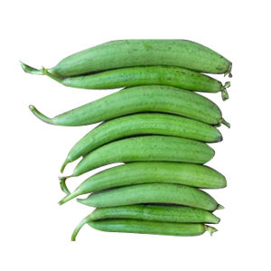 Sponge Gourd Hybrid Seeds