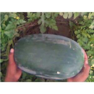 Watermelon Seeds