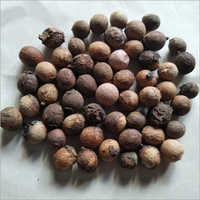 Sandalwood Tree Seed