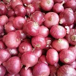 Round Red Onion