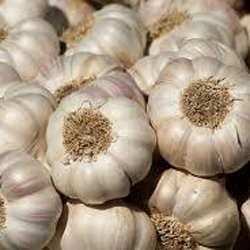 White Fresh Garlic Taste