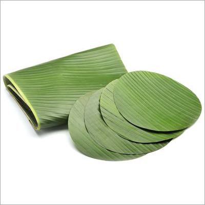 Banana Leaf Banana Leaf