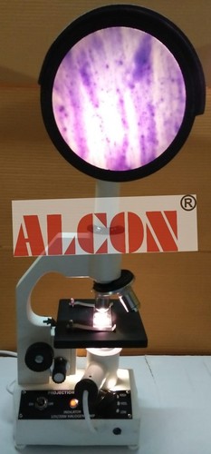 Projection Microscope Color Code: Gray