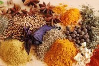 Ayurvedic Medicines