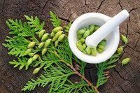 Herbal Ayurvedic Medicine