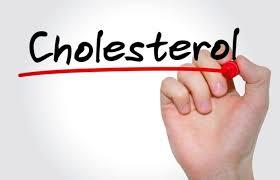 Anti Cholesterol Medicine