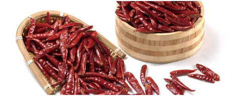 Indian Dry Red Chilli
