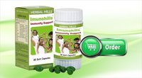 Ayurvedic Immunity booster medicine - Imunohills 30 capsule