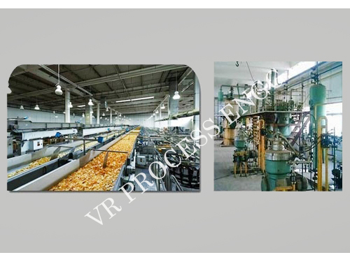 Edible Oil Plant