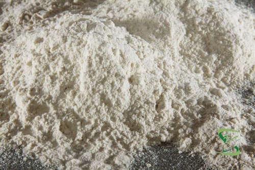 Trangacanth Gum Powder