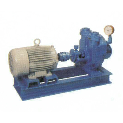 Water Ring Vacuum Pump