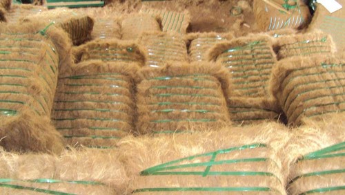 Raw Coir Fiber Raw Coir Fiber