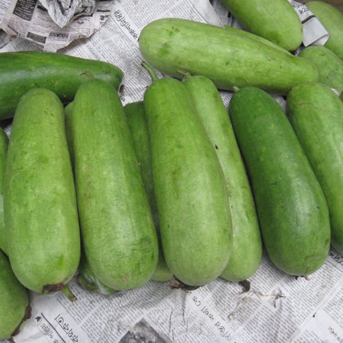 Fresh Cucumbers