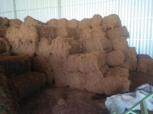 Coconut Coir Fiber