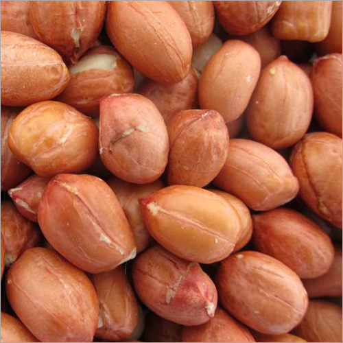 Raw Peanuts - Small Oval Size | Brown, Non Glutinous, 100% Matured, Nutrient-Rich Snack