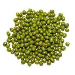 Common Green Moong Bean