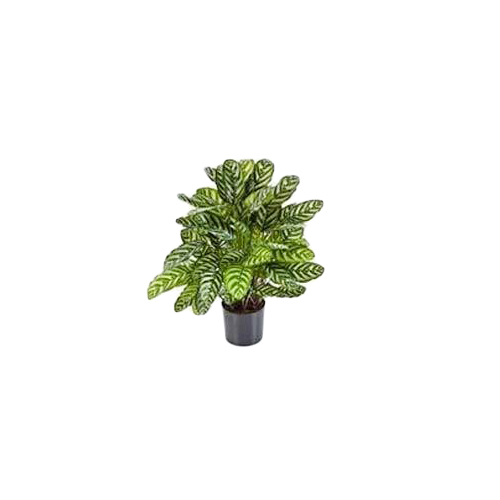 Decorative Artificial Plants