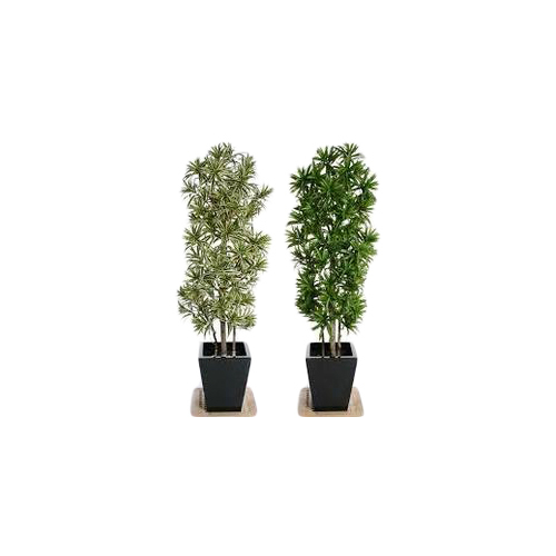 Plant Rental Services