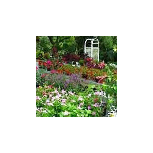 Plants And Nursery Services