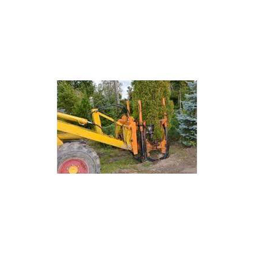 Tree Transplant Services