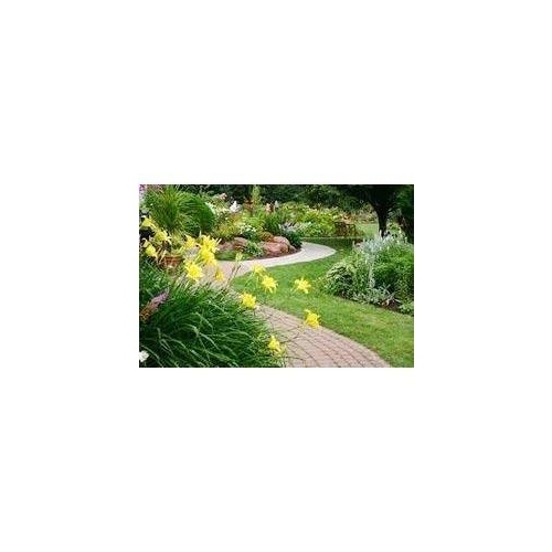 Landscaping Consultant Services