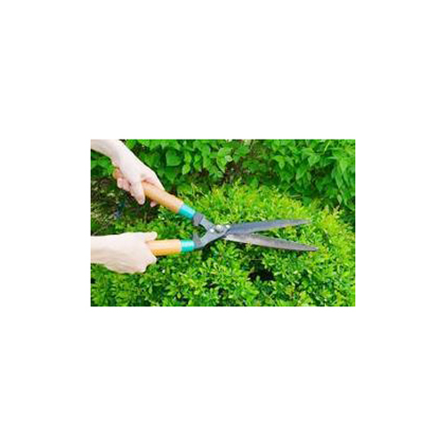Garden Maintenance Services