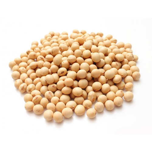 Organic Soybeans Origin: India