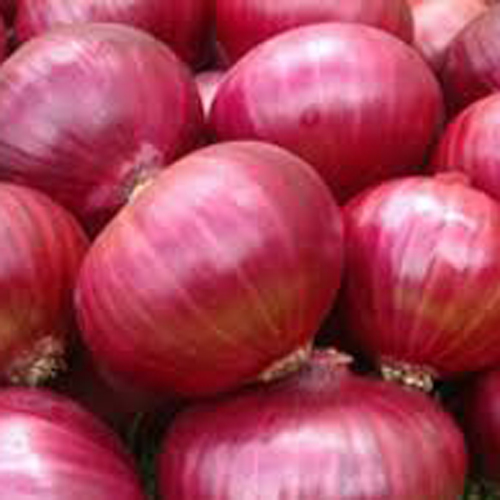 Red Onion