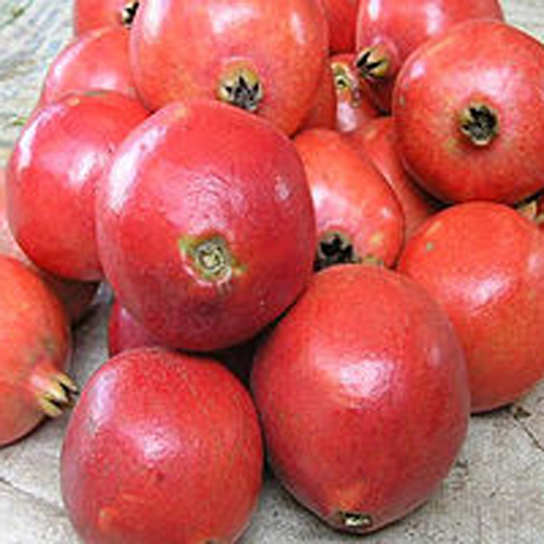 Fresh Bhagwa Pomegranate
