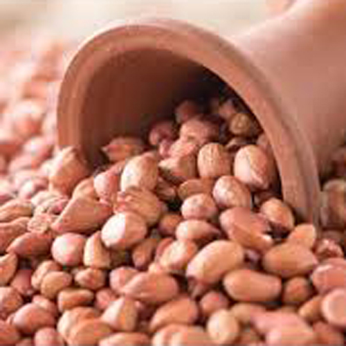 Ground Nut