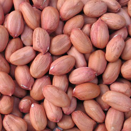 Organic Peanuts