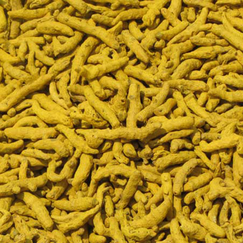 Turmeric Finger