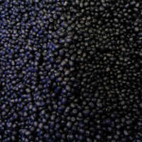 Plastic Granules