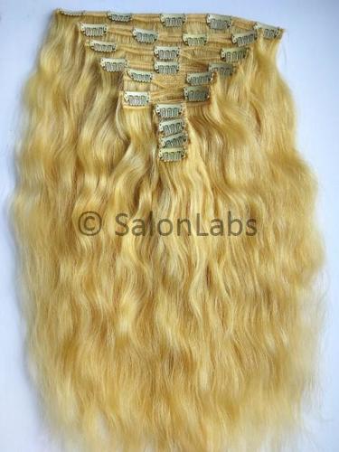 Natural Blonde Clip-In Hair Extensions