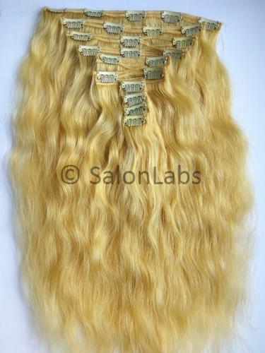 Natural Blonde Clip-On Hair Extensions