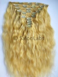 Natural Blonde Clip-On Hair Extensions
