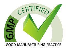 Gmp Certification In Raipur