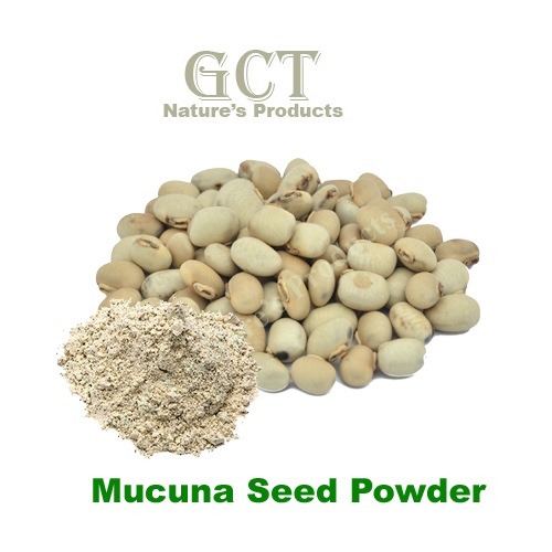 Mucuna Seed Powder Ingredients: Herbal Extract