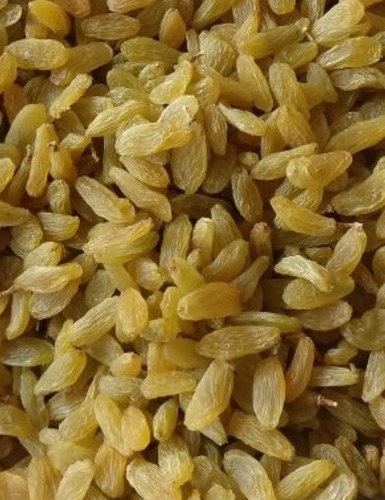Captain Raisins - Dried Seedless Variety | Rich in Antioxidants, Calcium & Iron, Aromatic Flavor for Sweet Dishes and Oral Hygiene