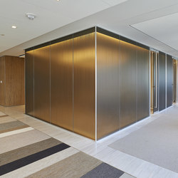 Frameless Glass Partition