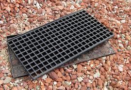 Seeding Nursery Trays