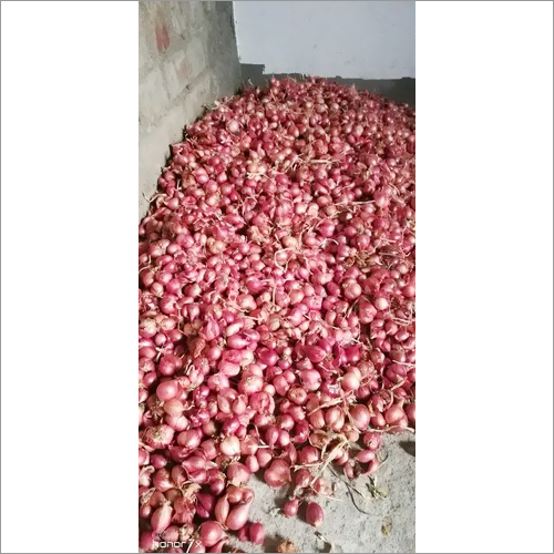 Sambar Onion