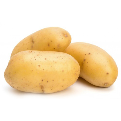 Fresh Potato