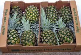 Organic Pineapple