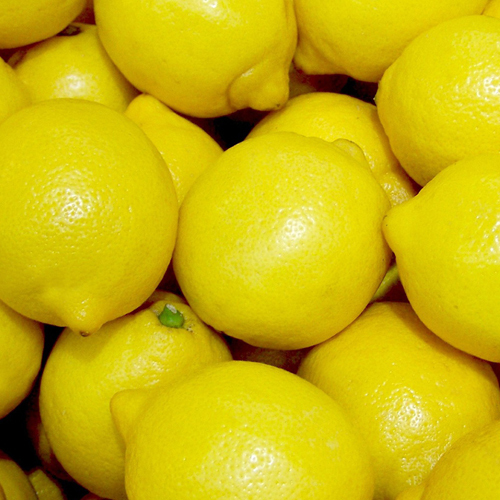 Fresh Lemon