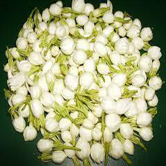Jasmine Flower