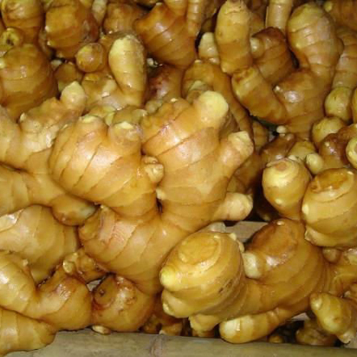 Fresh Ginger