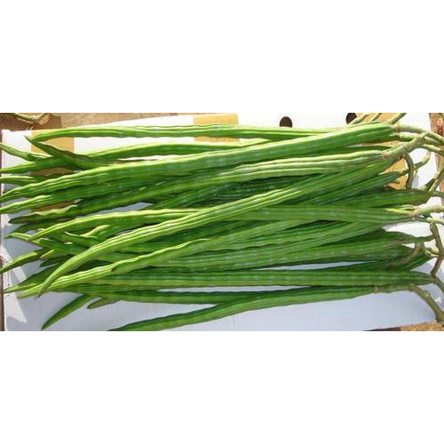 Organic Drumstick