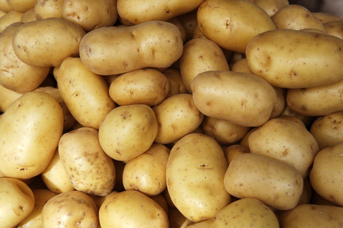 Farm Fresh Potato