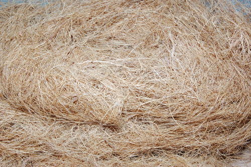Brown Coir Fiber